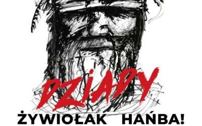 Zostań ambasadorem Folkowiska!