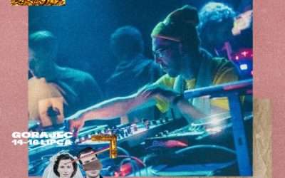 DJ Krzaku na Folkowisku